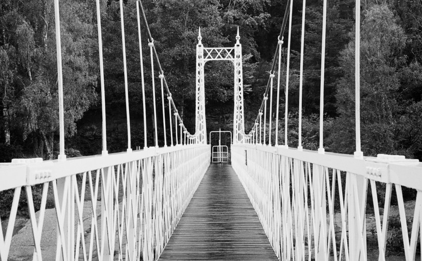 The beauty of canvas&nbsp;prints